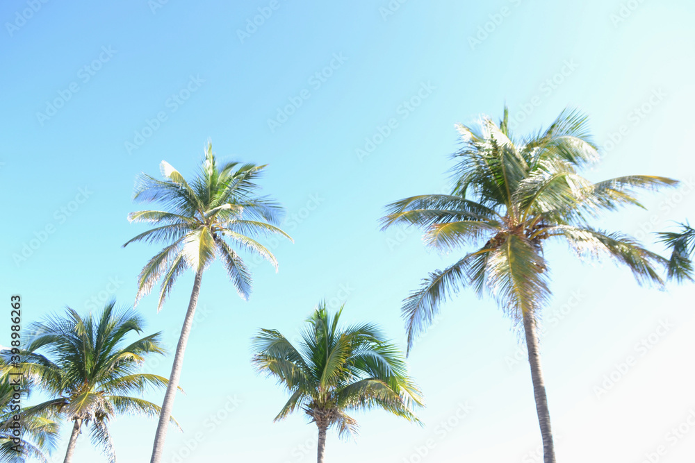 cielo verdeazul cielo verdeazul