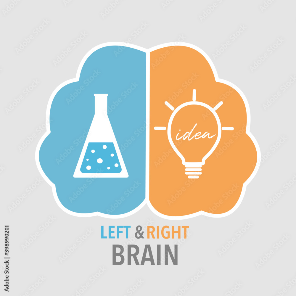 Left and right brain infographic for presentation concept vector ...