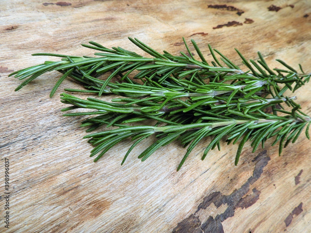 ハーブ（ローズマリー）