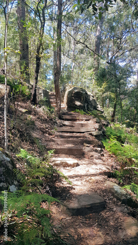 Hiking Trail for Bush Walking in the Strickland State Forest New South Wales Australia. Australian Bush Trail photo