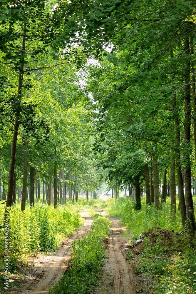 Obraz premium 달성습지