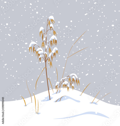 Wild Cereals under the Snow