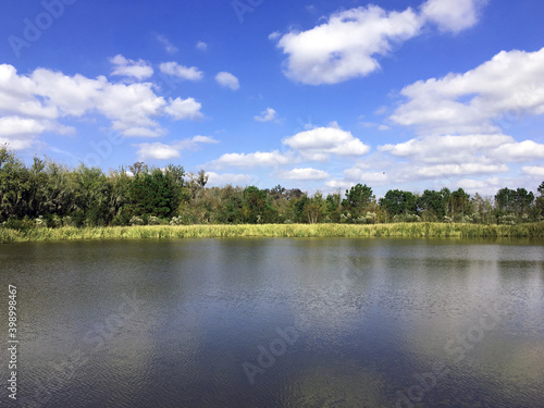 A lake and tree line with blue sky and clouds
