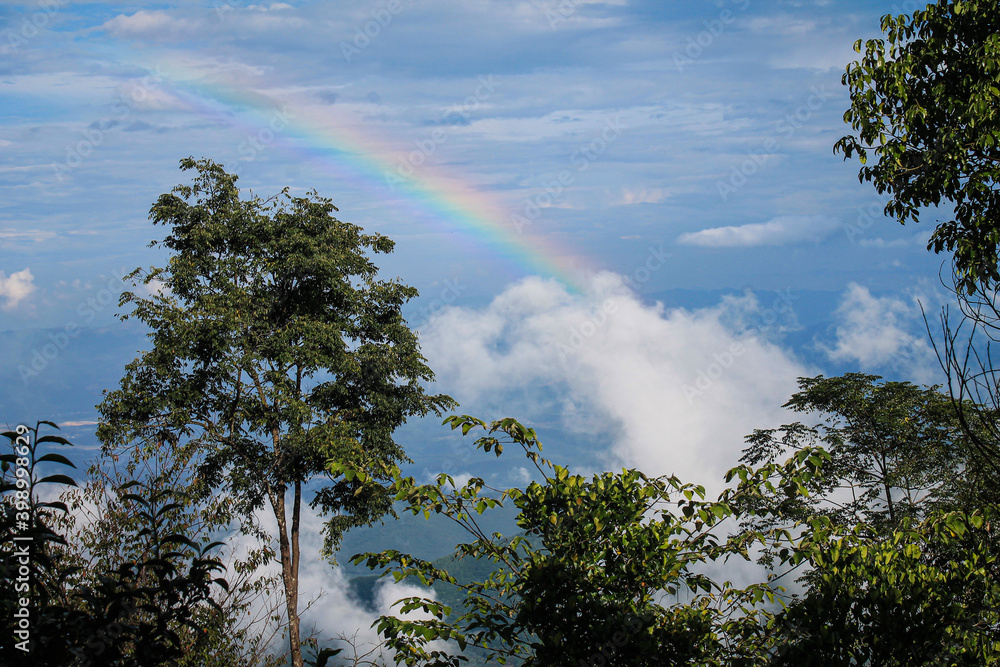 Rainbow in the mountains at tea plantations, China, Yunnan