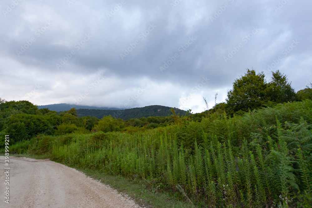 A dirt road along the high green grass, in the background you can see the mountains against the cloud sky