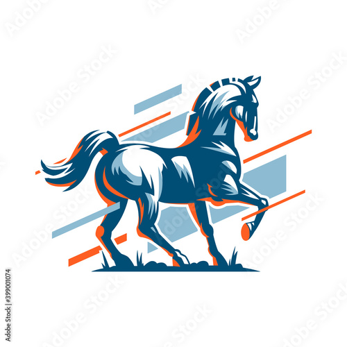 Muscular steed horse. 