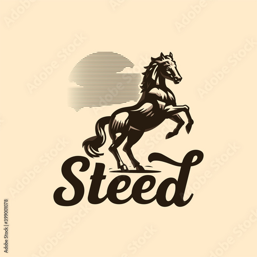 Muscular steed horse. 