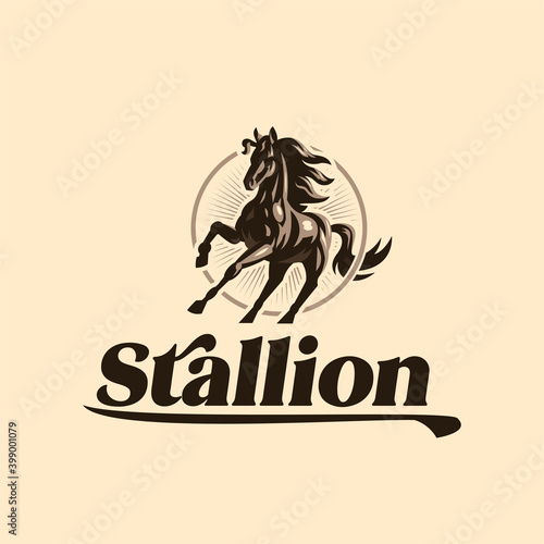 Muscular steed horse. 