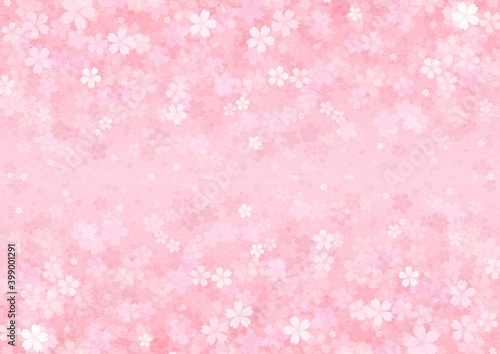 中心から桜の花が上下に広がる横長の背景イラスト vol.02 © tota