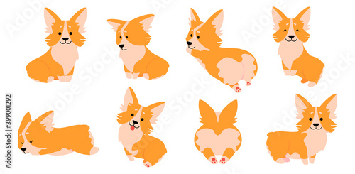 Corgi. Cartoon cute dog characters in different poses relaxing sleeping doing dog exercises, funny puppy with various comic emotions. Vector domestic pet kids isolated on white background illustration