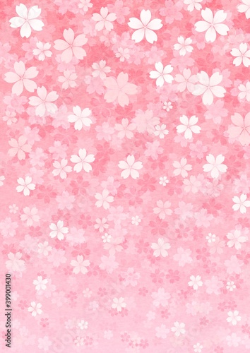 桜の花が一面に咲く縦長の背景イラスト vol.02