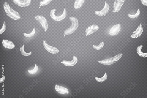 Falling feather background. Realistic 3d fluffy bird plumage for advertising. Style smooth border for horizontal banner, decorative frame, poster or flyer, vector isolated hen, goose or swan quill © SpicyTruffel