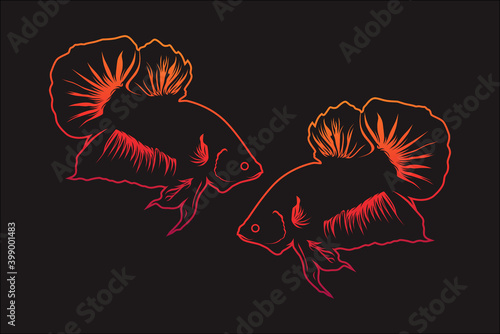 Betta fish vector line art with colorful battles. Vector illustration. Mojokerto, December 13th.
