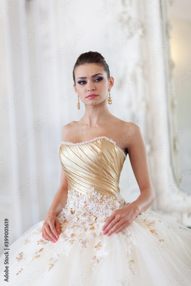 Beautiful bride in a white wedding dress in a light old classic interior Beautiful bride in a white wedding dress in a light old classic interior