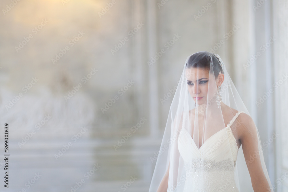 Beautiful bride in a white wedding dress in a light old classic interior Beautiful bride in a white wedding dress in a light old classic interior