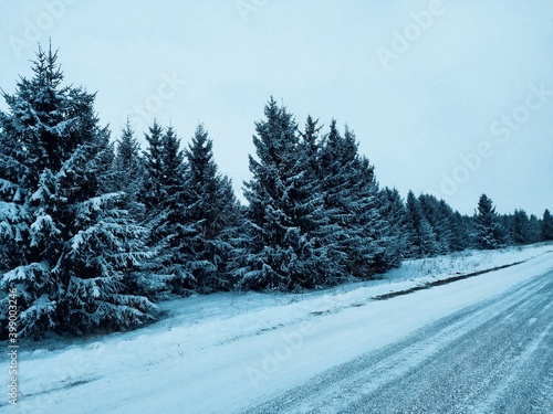 Beautifull Winter forest and road .