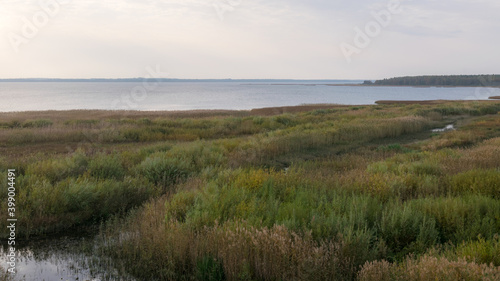 autumn view of the lake  foreground of the lake meadow