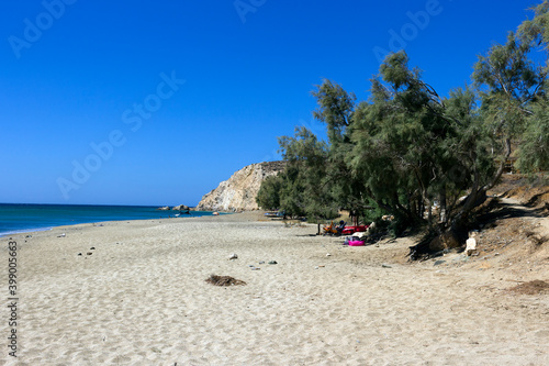 Fototapeta Naklejka Na Ścianę i Meble -  Anafi island, the long beach of Roukonas with salt cedars tree and the thick sand. Cyclades islands, Greece

