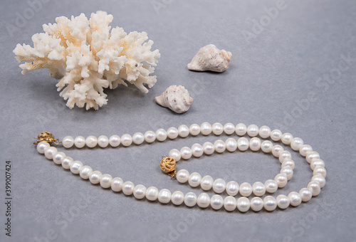 Natural pearl necklace, bracelet, seashell and coral on gray background. Elegant fashion style concept.