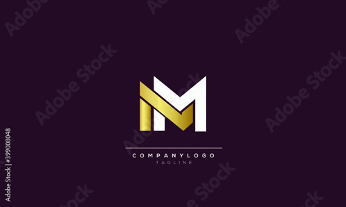 NM Abstract initial monogram letter alphabet logo design photo