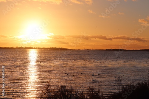 Deep glowing sun set over a nature park lake winter season 