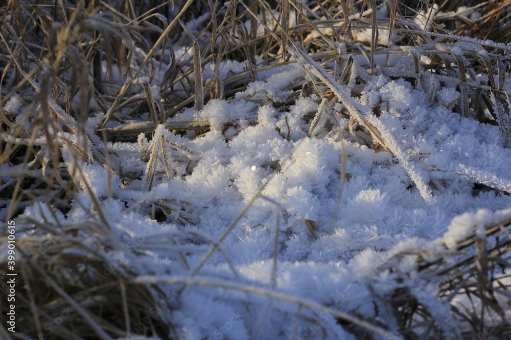 First snow in the field First snow in the field
