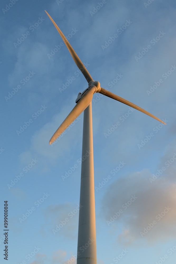 wind turbine for electricity generation