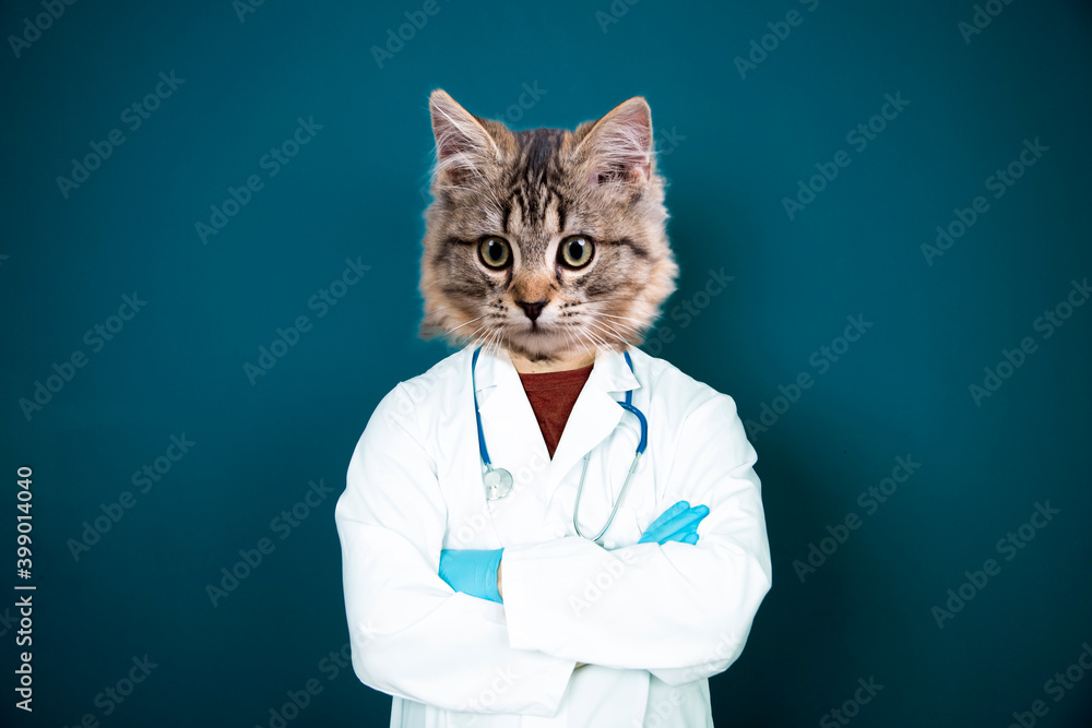 Modern art collage of doctor with cat head. Modern art collage of doctor with cat head.