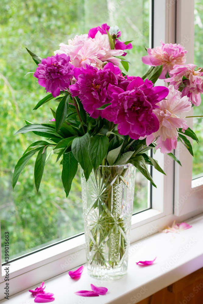 Bouquet of peony flowers in glass vase on windowsill, fallen petals
