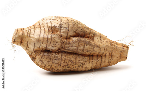 Root of kudzu vine,puerarin Isolated on a white background 