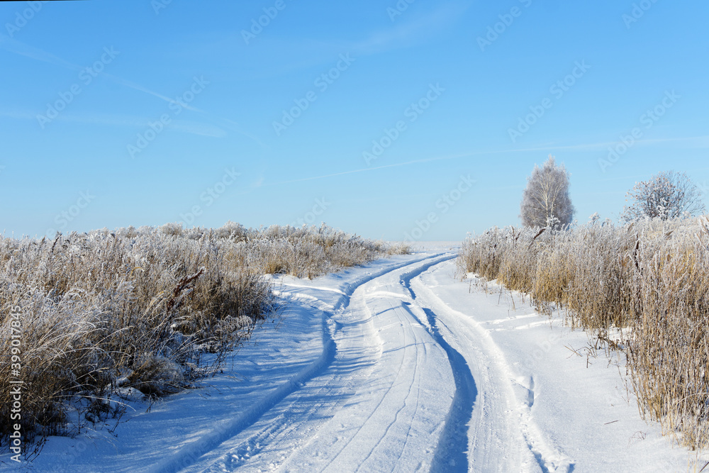 Obraz premium Landscape with country road in sunny winter day