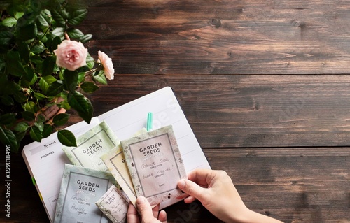 spring gardening planning, hands holding envelopes with seeds against wooden table photo