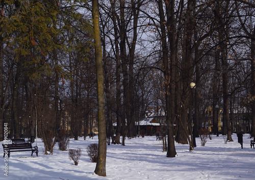 prawdziwa zima w parku © Robert Borek