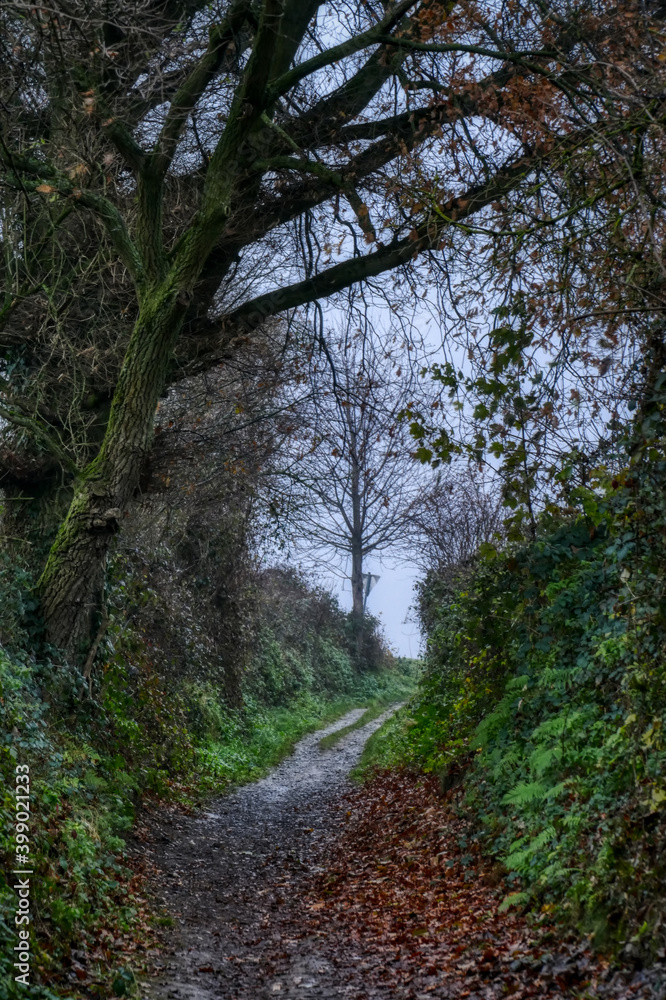 Wanderweg zum Bachtal bei Gerresheim 