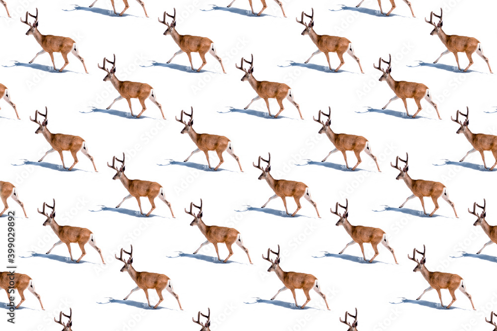 Santa reindeers on white snowy winter background. Minimal Christmas concept. Flat lay. Minimal composition.