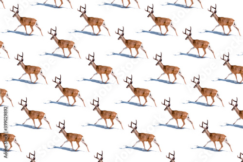 Santa reindeers on white snowy winter background. Minimal Christmas concept. Flat lay. Minimal composition.