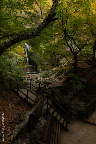 Autumn mountain forest view. Forestl in autumn mountains. Autumn forest in mountains. Autumn mountain landscape