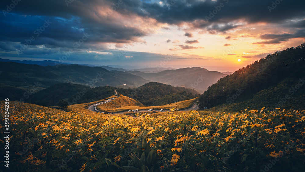 Φωτογραφία Panorama landscape of Tung Bua Tong forest park at sunrise in Mae Hong Son Thail