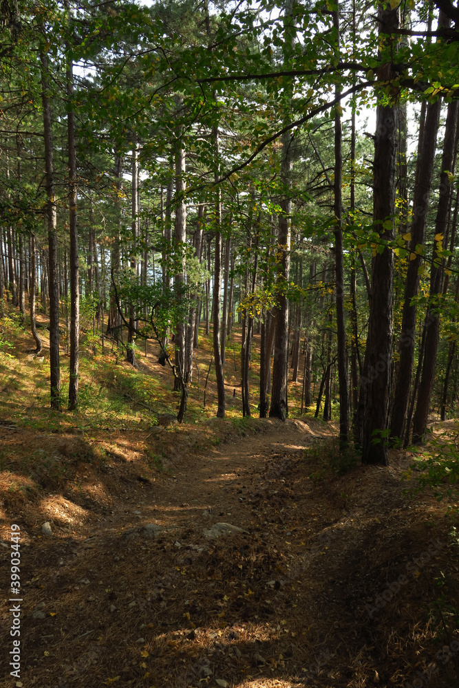 Autumn mountain forest view. Forest in autumn mountains. Autumn forest in mountains. Autumn mountain landscape Crimea Autumn mountain forest view. Forest in autumn mountains. Autumn forest in mountains. Autumn mountain landscape Crimea