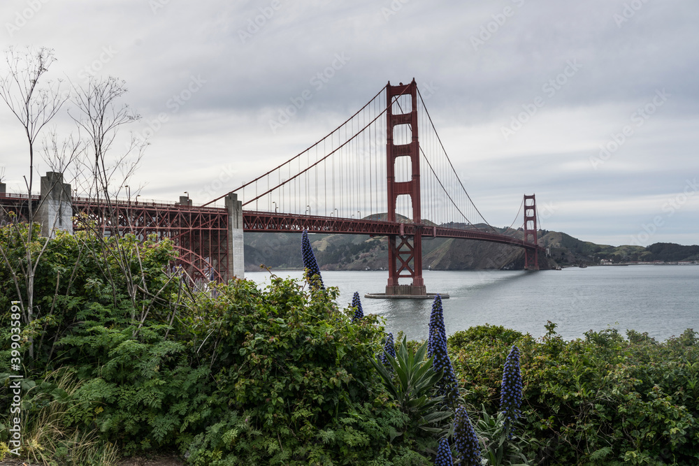 Obraz premium golden gate bridge