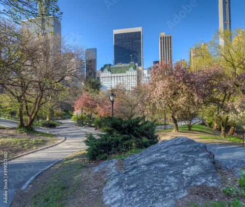 Central Park in spring