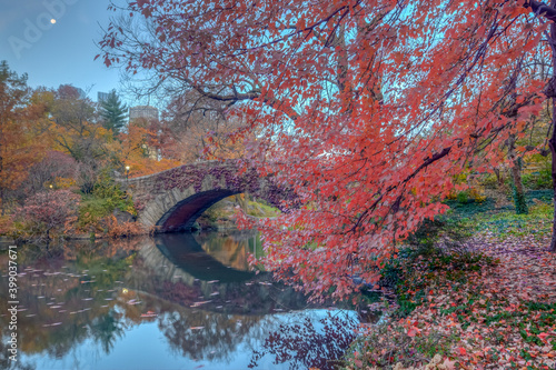 Gapstow Bridge in Central Park photo