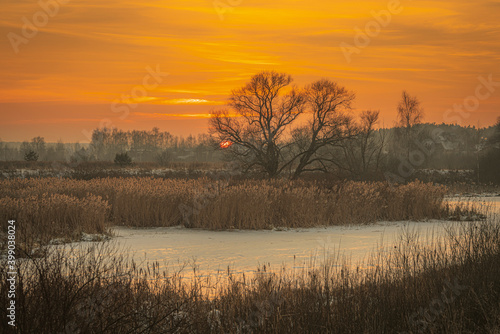 Frozen river, bare trees and field of dry reeds at winter sunset with orange sky