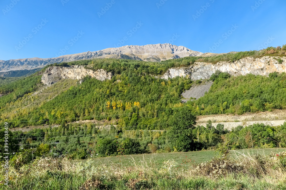 Green fields, with pine forest, cliffs and rocky mountains, blue sky, municipality of Castejón de Sos, province of Huesca, Spain