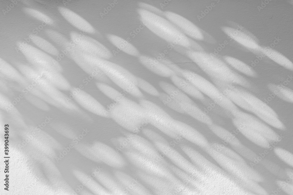Obraz premium Abstract leaves shadow and light blurred background with light bokeh, natural leaves tree branch on white wall texture, wallpaper, nature shadow pattern on wall