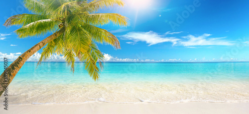 Fototapeta Naklejka Na Ścianę i Meble -  Beautiful natural tropical landscape, beach with white sand and Palm tree leaned over calm wave. Turquoise ocean on background blue sky with clouds on sunny summer day, island Maldives.