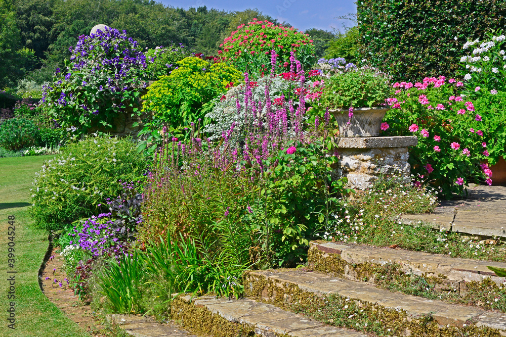 Colourful terrace with Pelargoniums, Lythrums, Clematis and stone steps