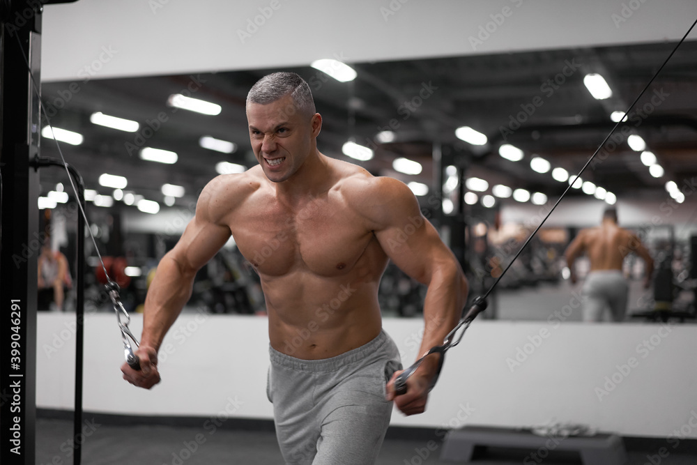 Muscular athletic bodybuilder standing training chest and shoulders muscles  on fitness equipment Stock 写真 | Adobe Stock