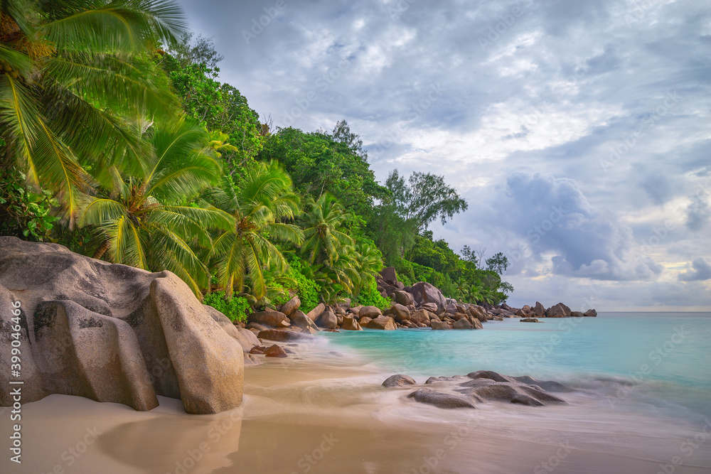 palm trees on tropical beach anse georgette on praslin island. paradise on the seychelles