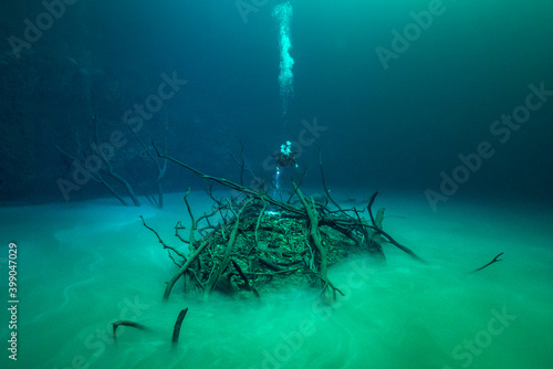 Cenote Angelita Underwater in Yucatan, Mexico
